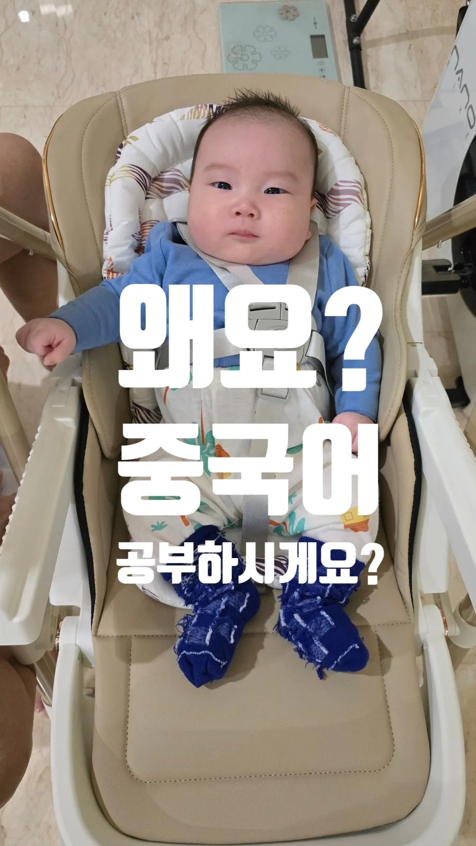 2026년 중국어 회화 독학, 현실적인 마스터 커리큘럼