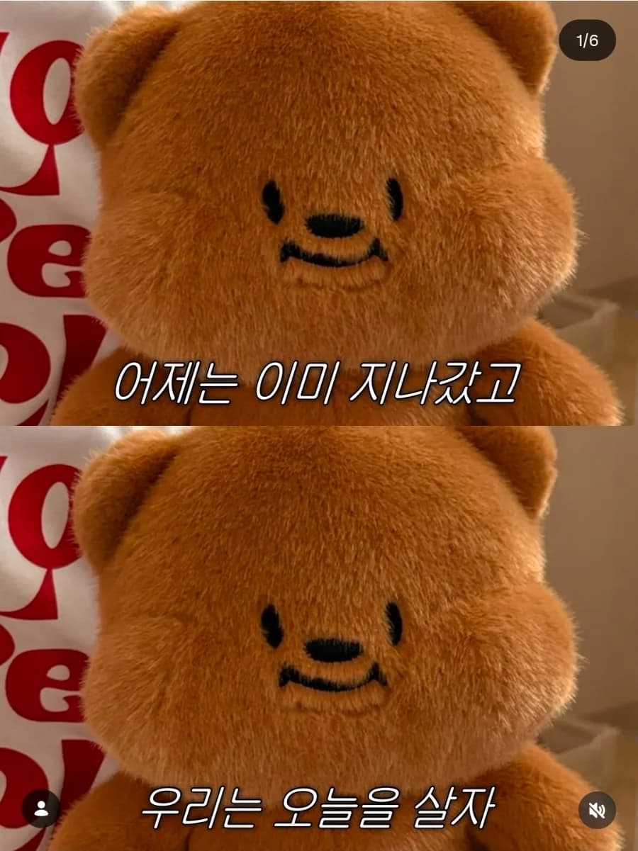 4월 일상 기록 2026: 벚꽃, 부여 나들이, 생일 축하까지