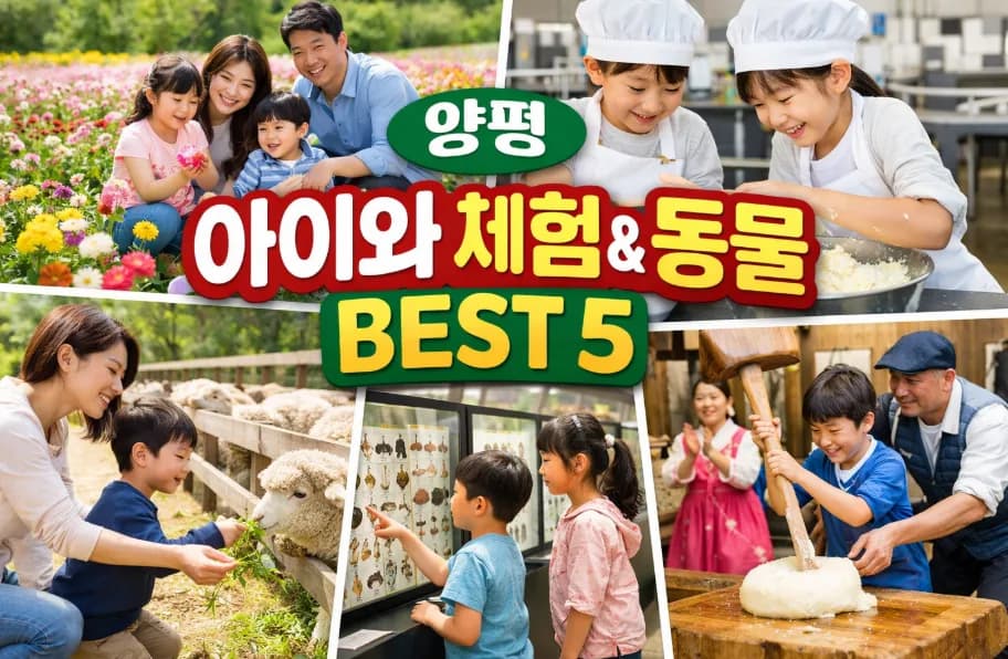 양평 아이와 가볼만한 곳 BEST 4: 양떼목장, 치즈체험 2026