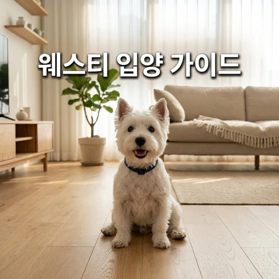 웨스티 성격, 털빠짐, 분양가 2026년 총정리