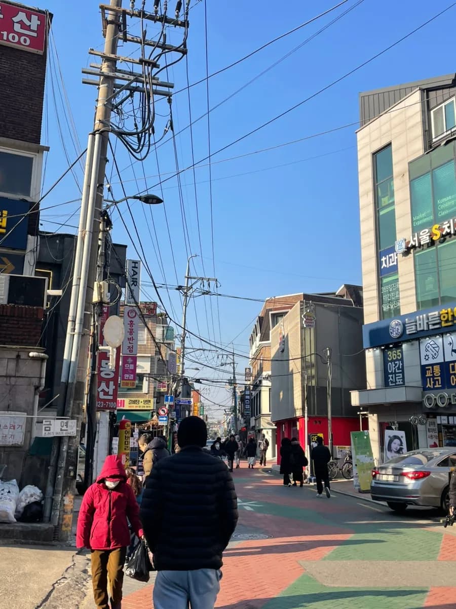 망원시장 만두 맛집 '진성만두' 2026년 방문 후기 및 웨이팅 꿀팁
