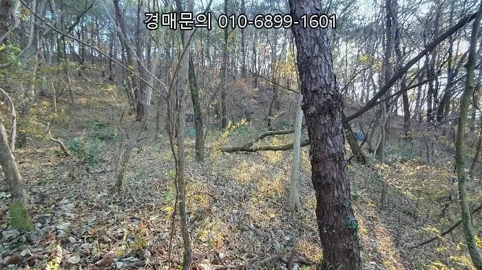 순천 근린시설 경매, 2026년 5월 26일 최저가 22.8억 투자 기회 분석