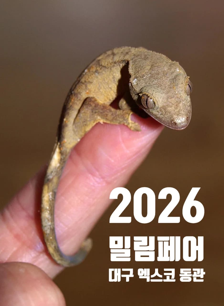 2026 밀림페어 파충류 박람회, 사전예약 혜택과 일정 총정리