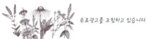 강아지 고관절탈구, 24시 동물병원 진료 후기 2026