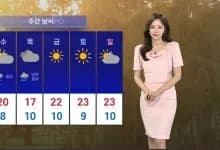 2026년 건강정보 총정리: 날씨, 식단, 질병, 운세까지
