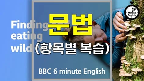 야생 식용 작물 채집 2026: 안전한 먹거리 찾는 법과 영어 표현