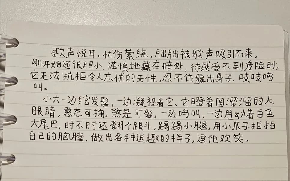 Feifei Animal in 'Word of Honor': Meaning & Appeal 2026