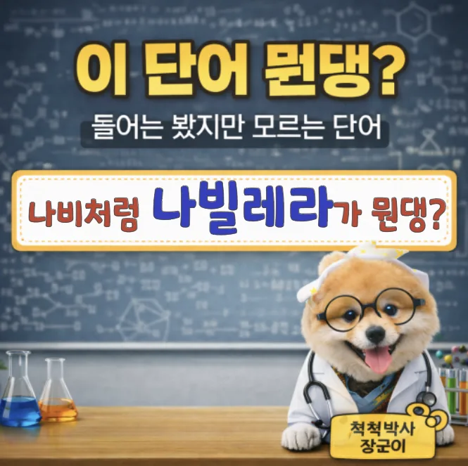 나빌레라 뜻, 조지훈 시인의 '승무'에서 2026년 '꿈'까지 분석