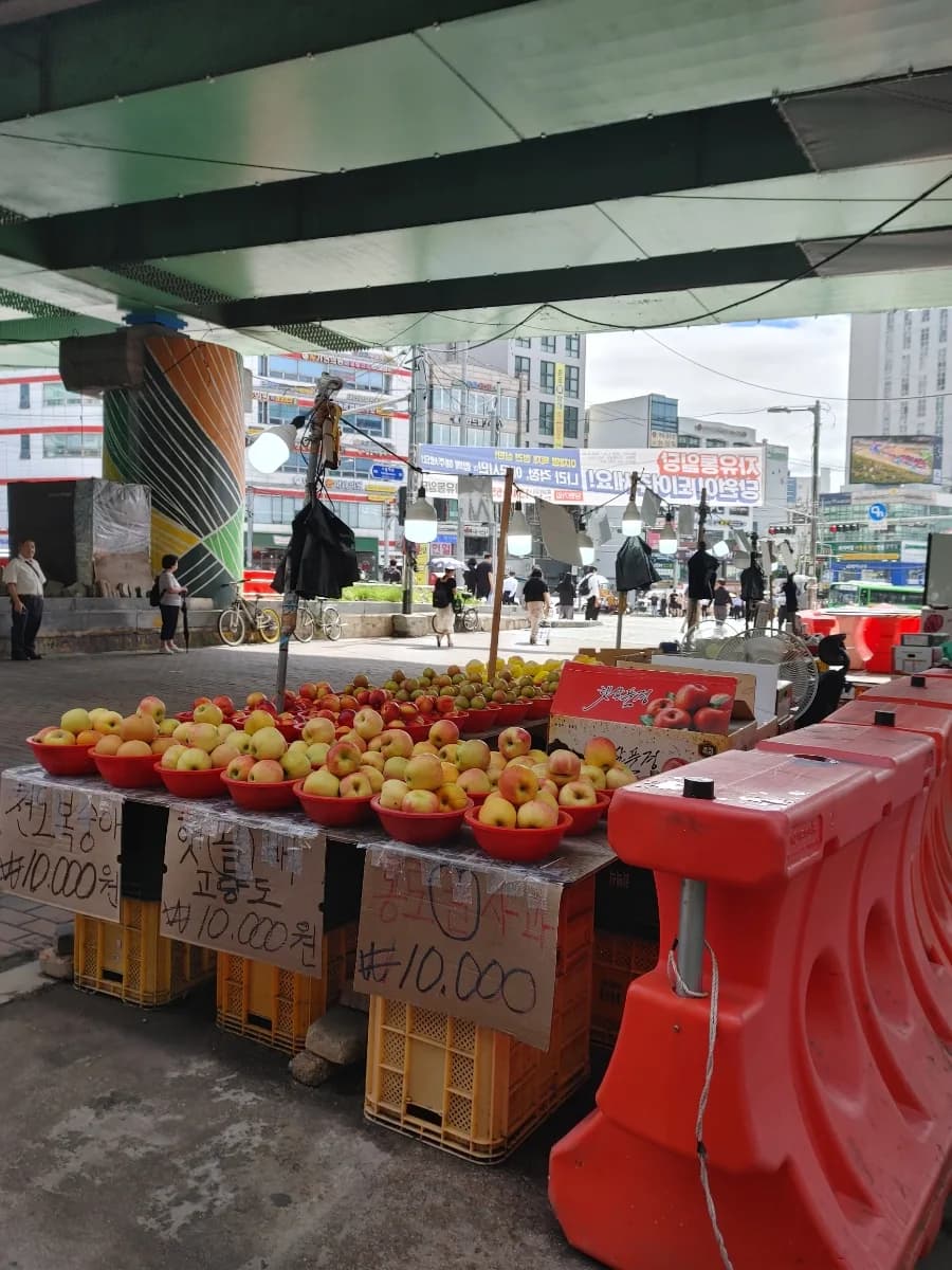 코엑스 별마당 도서관 방문 후기 및 이용 팁 2026