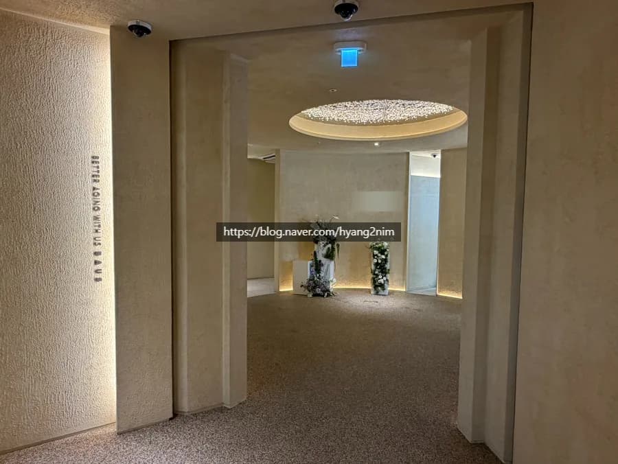 예신 팔뚝 바디온다 리프팅 2026: 웨딩드레스 라인 살리는 비결