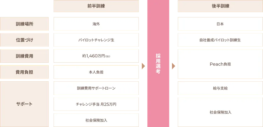Peach 파일럿 챌린지 2027: 비용·자격·합격 비결 총정리