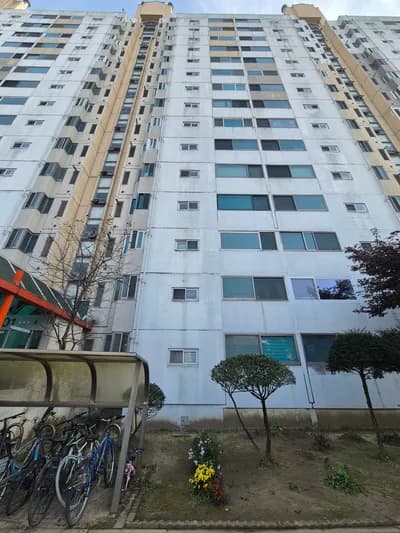 첫 경매 아파트 낙찰 후기: 2026년 지방 투자 성공 전략