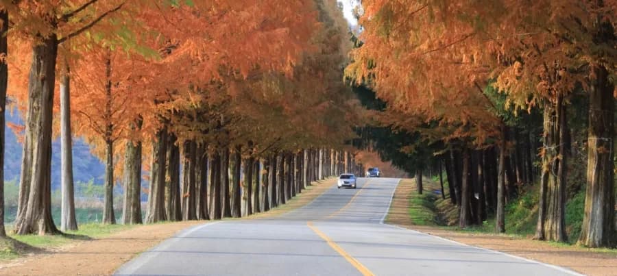 노자 도덕경 '도(道)'의 본질과 언어 한계 2026년 완벽 분석