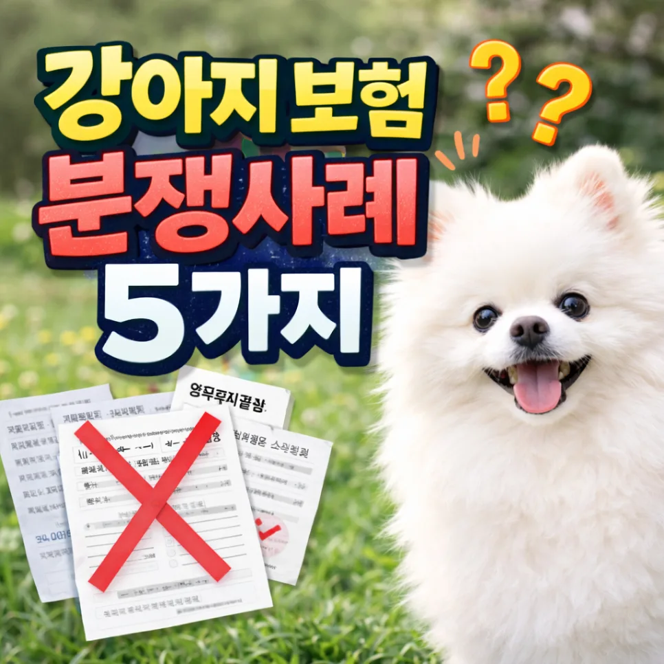 2026년 강아지 보험 분쟁 사례 5가지와 예방책 완벽 정리