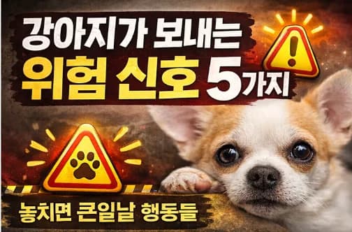 강아지 위험 신호 5가지: 반려견 이상 행동 2026년 총정리