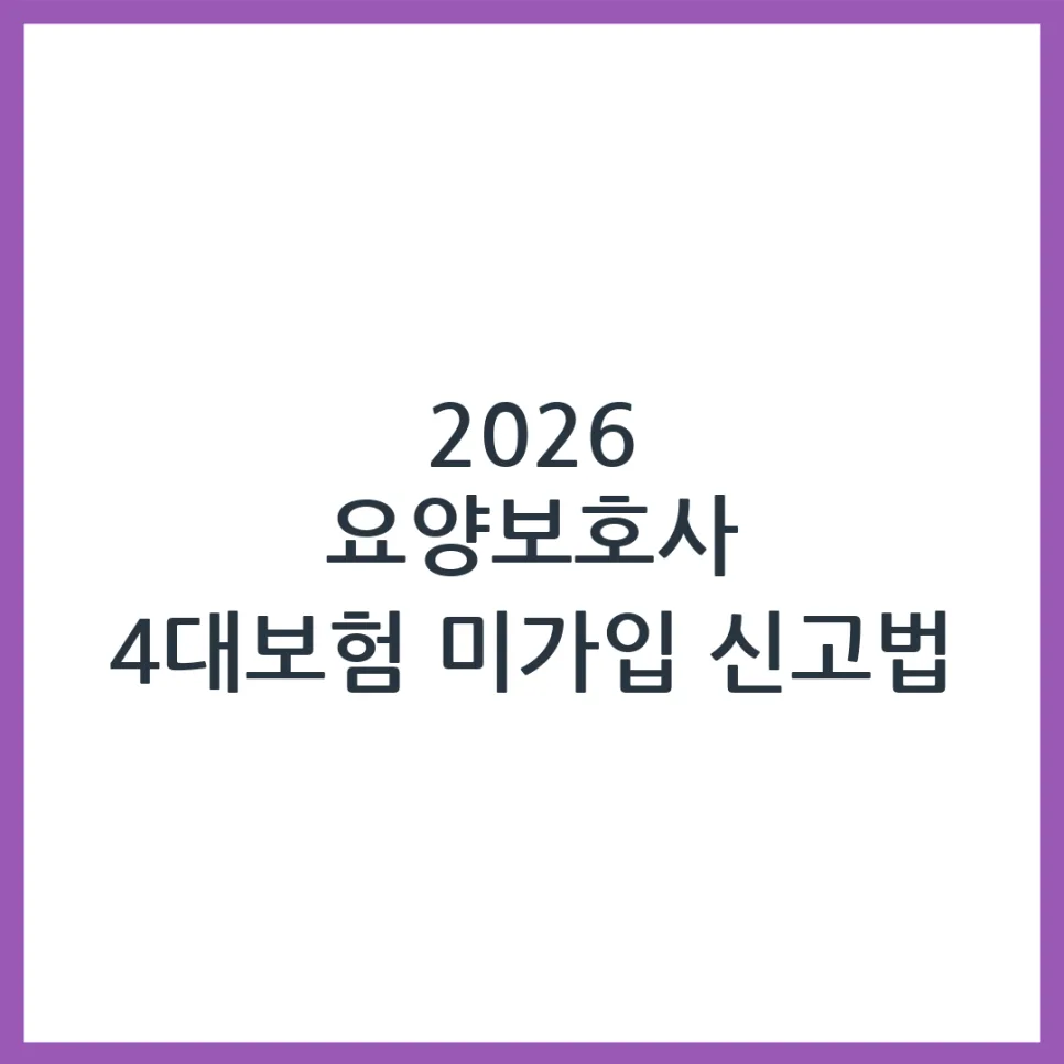 2026년 요양보호사 4대보험 미신고 기관 신고 방법 및 절차 총정리