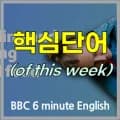 BBC 6분 영어: 야생 식물 채집 및 섭취법 2026년 완벽 정리