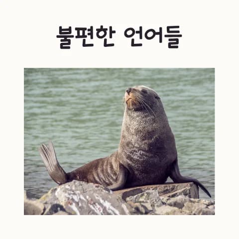 Korean Language Errors 2026: Expert Guide to AI & Politeness