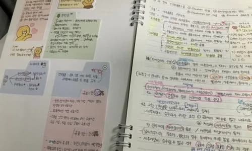 공무원 시험 노베이스 합격 전략 2026: 현실적인 조언