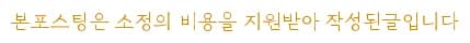 아비시니안 고양이 분양 2026: 제나캣 해운대 장점 총정리