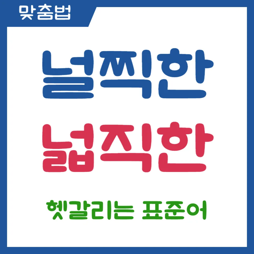 널찍한 vs 넓직한: 2026년 표준어 맞춤법 완벽 정리