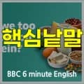 단백질 섭취, 과도한 집착일까? 2026년 BBC 영어 학습 가이드