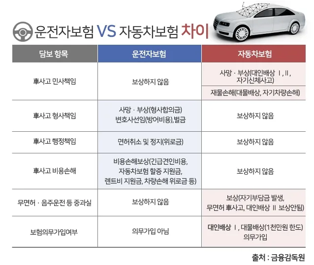 자동차보험 vs 운전자보험 차이점 2026년 완벽 정리