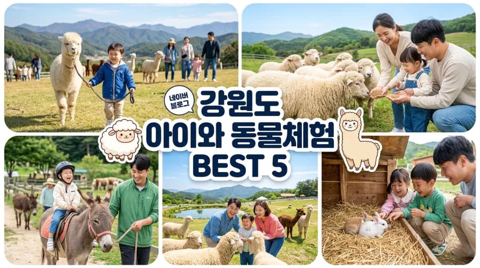 강원도 동물 체험 2026: 아이와 함께하는 이색 여행 BEST 5
