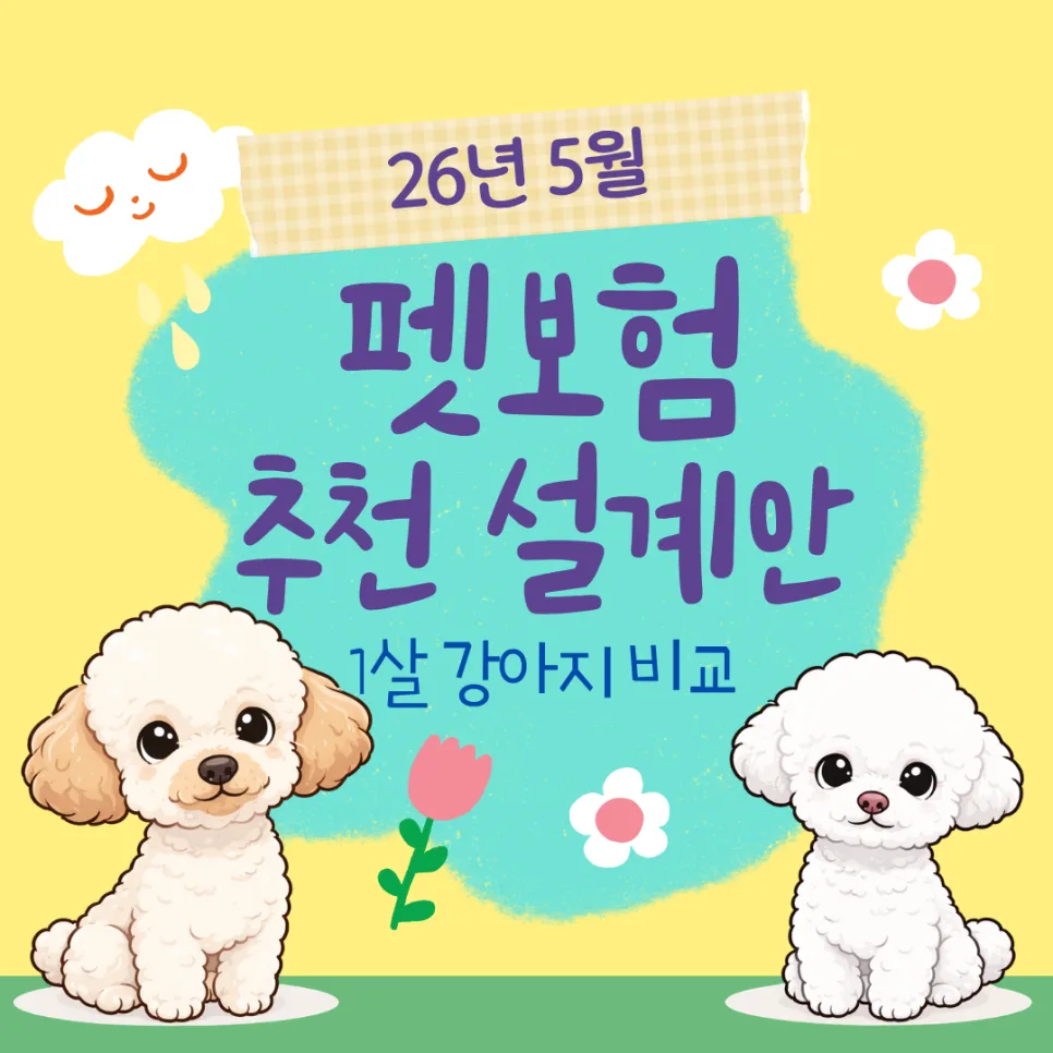 2026년 5월 1살 강아지 펫보험, 어떤 상품이 가장 유리할까?