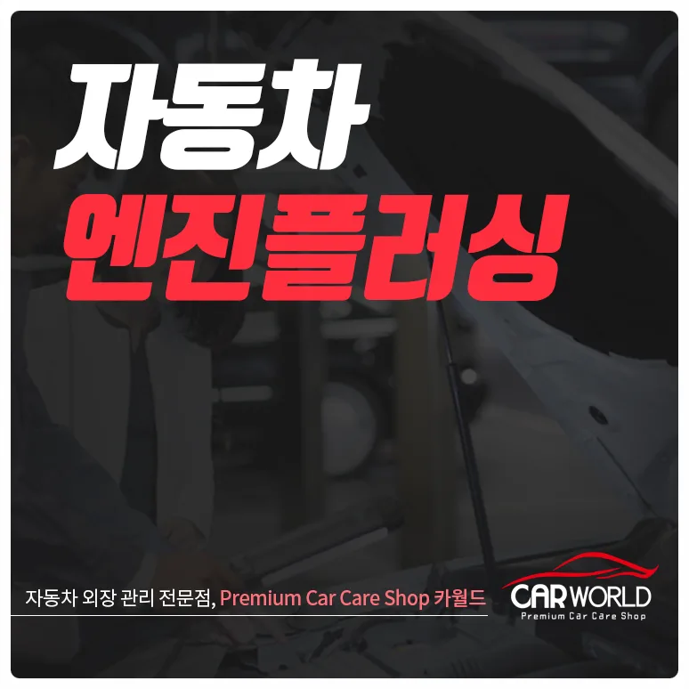 자동차 엔진 플러싱, 2가지 방식 비교 분석 2026