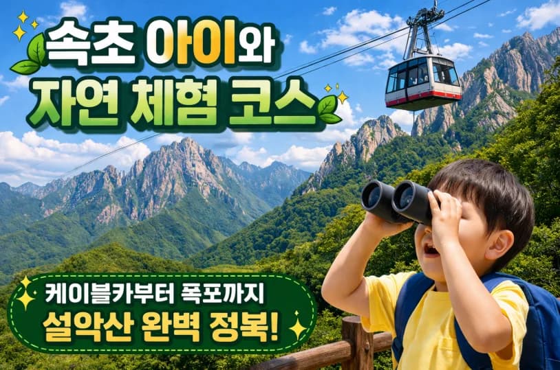 속초 설악산 아이와 가볼 만한 곳 BEST 5 (2026년 추천 코스)