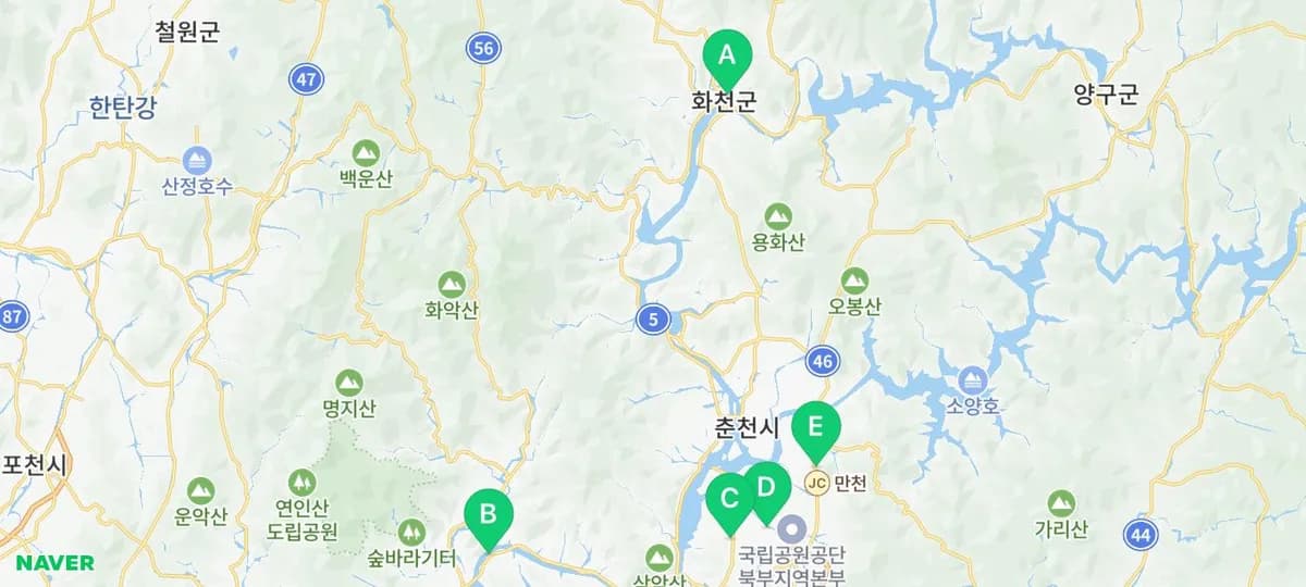 강원도 겨울 얼음낚시 & 빵지순례 2026: 생생 후기