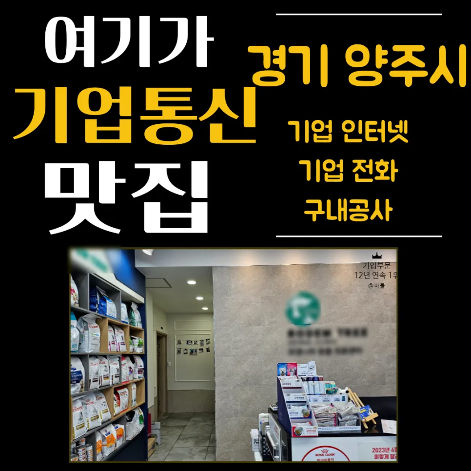 양주 동물병원 키폰 교체, 2026년 최신 LG U+ 센트릭스 솔루션 비교