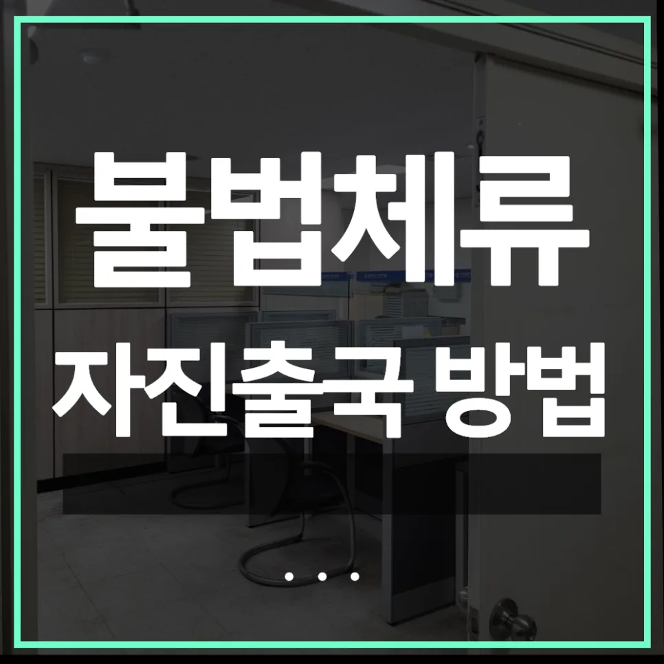 불법체류 자진출국 절차 2026: 안전하게 귀국하는 방법 총정리