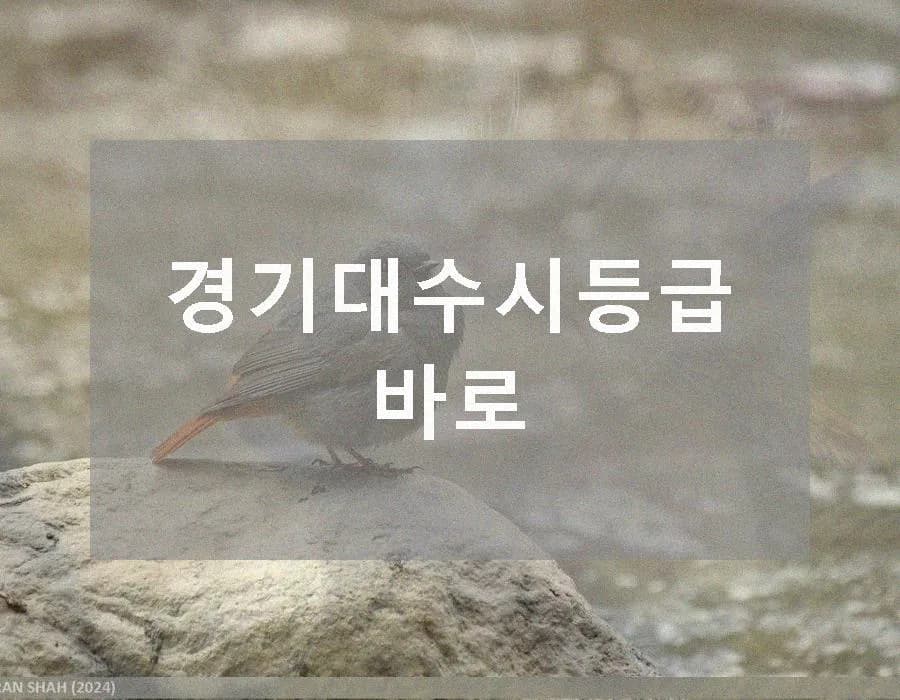 경기대 수시 등급 및 검정고시 응시자격 2026년 완벽 분석
