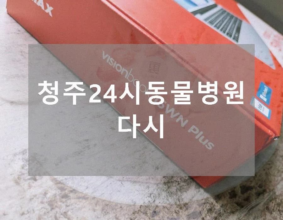 청주 24시 동물병원, 2026년 최신 진료 정보와 솔직 후기