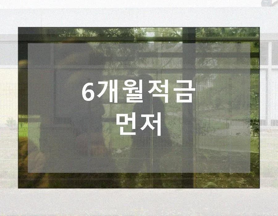 6개월 적금 연말정산 공제 2026년 혜택 총정리
