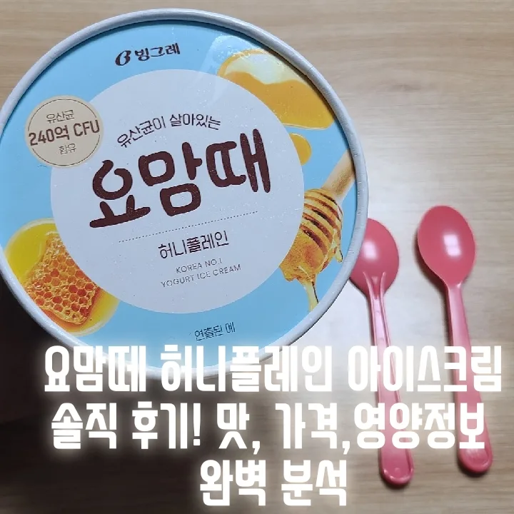 요맘때 허니플레인 아이스크림 2026년 맛·가격·가성비 총정리