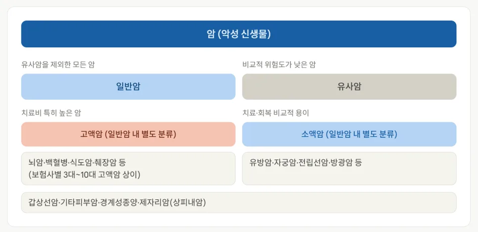 유사암 vs 일반암 보험금 차이 2026년 총정리: 진단비 제대로 받기