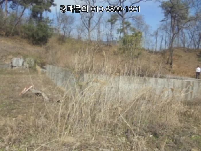 음성 토지 경매 2026년 6월 1일: 대규모 단독주택 부지 투자 분석