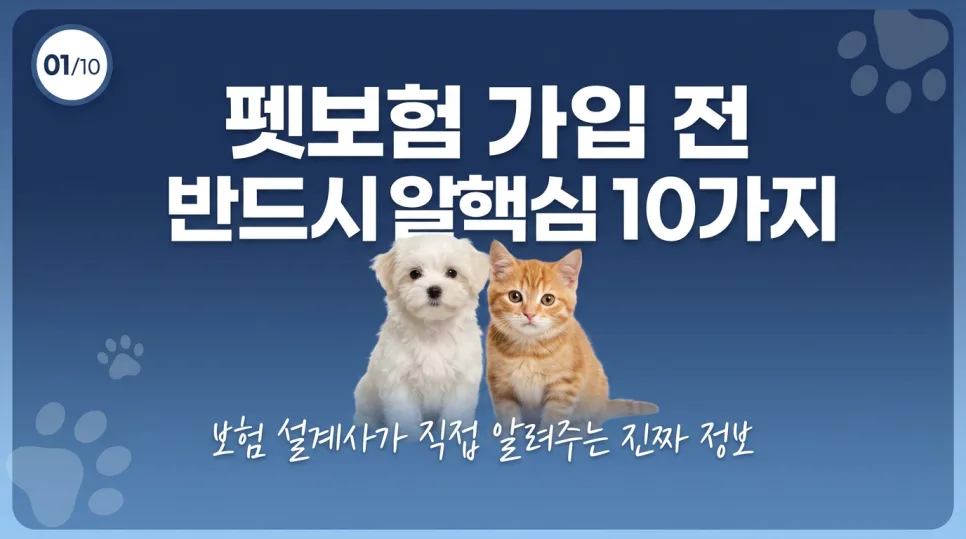 펫보험 병원비 절약 효과 2026: 한 달 커피값으로 100만원 아끼는 법