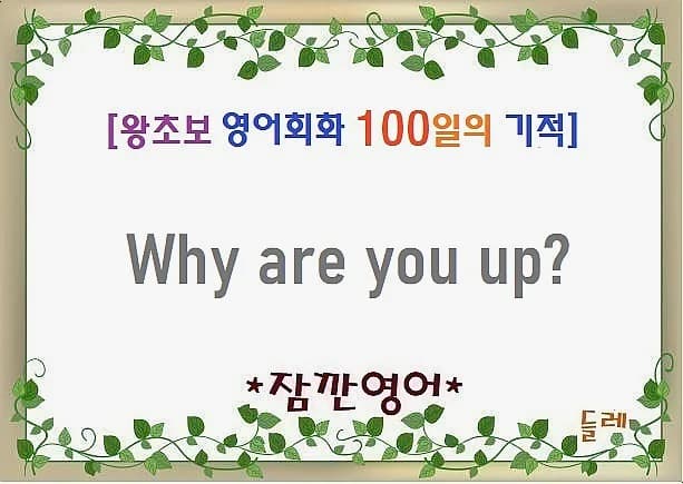 Why Are You Up? 2026년 밤샘 이유 묻는 영어 표현 완벽 정리