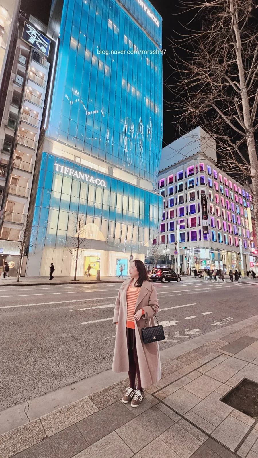 Tokyo Ginza 2026: FIRE 2-Week Trip Guide