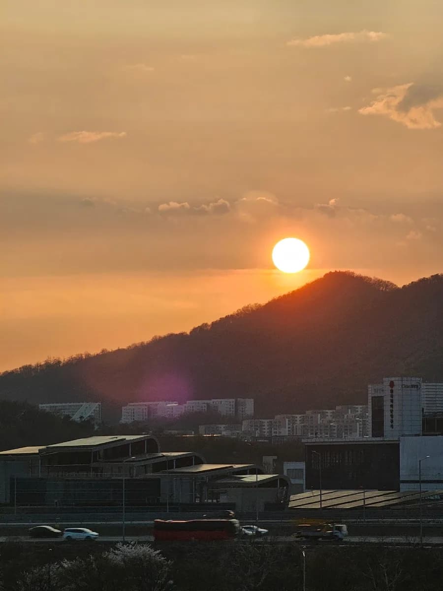 2026년 4월 일상 기록: 벚꽃, 여행, 그리고 소소한 행복