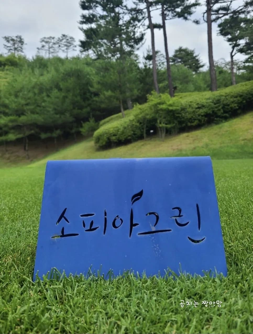 여주 소피아그린CC 2026년 겨울 라운드: 공휴일 티타임 예약 팁 완벽 분석