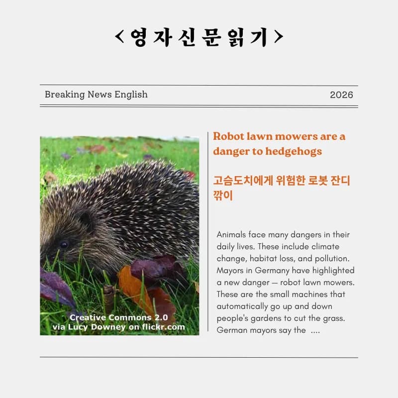 로봇 잔디깎이, 고슴도치 위협하나? 2026년 안전 대책 총정리