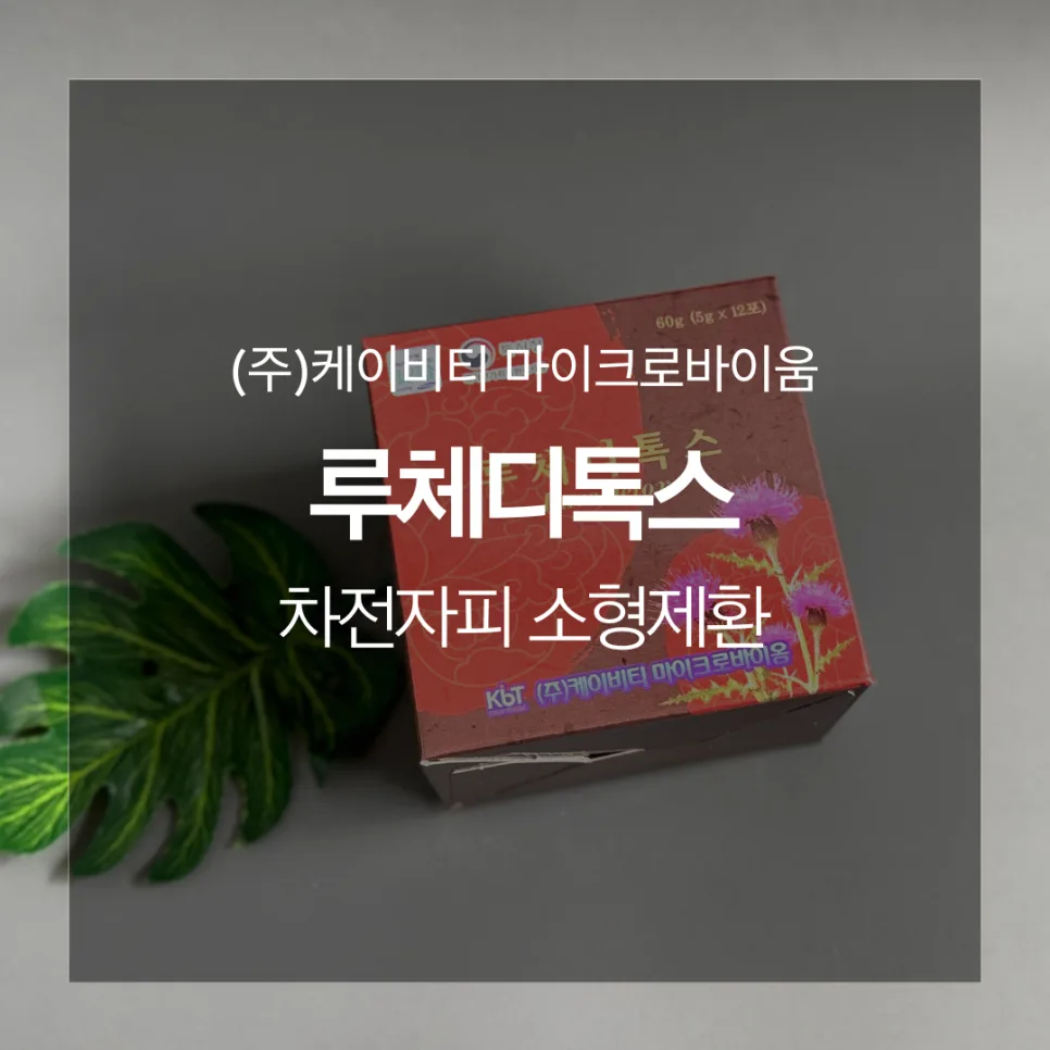 차전자피환 다이어트 성공 비결 2026: 루체디톡스 후기