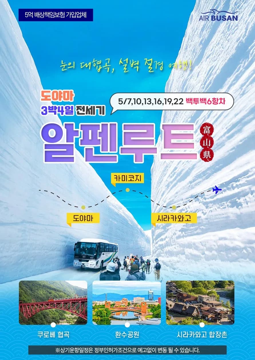 2026년 알펜루트 3박 4일: 부산 직항 전세기 특가 총정리