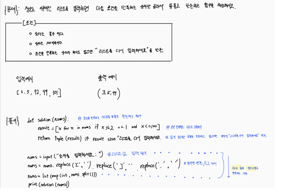 BDAI 학회 2026년 5주차 파이썬·SQL 기초 완벽 분석