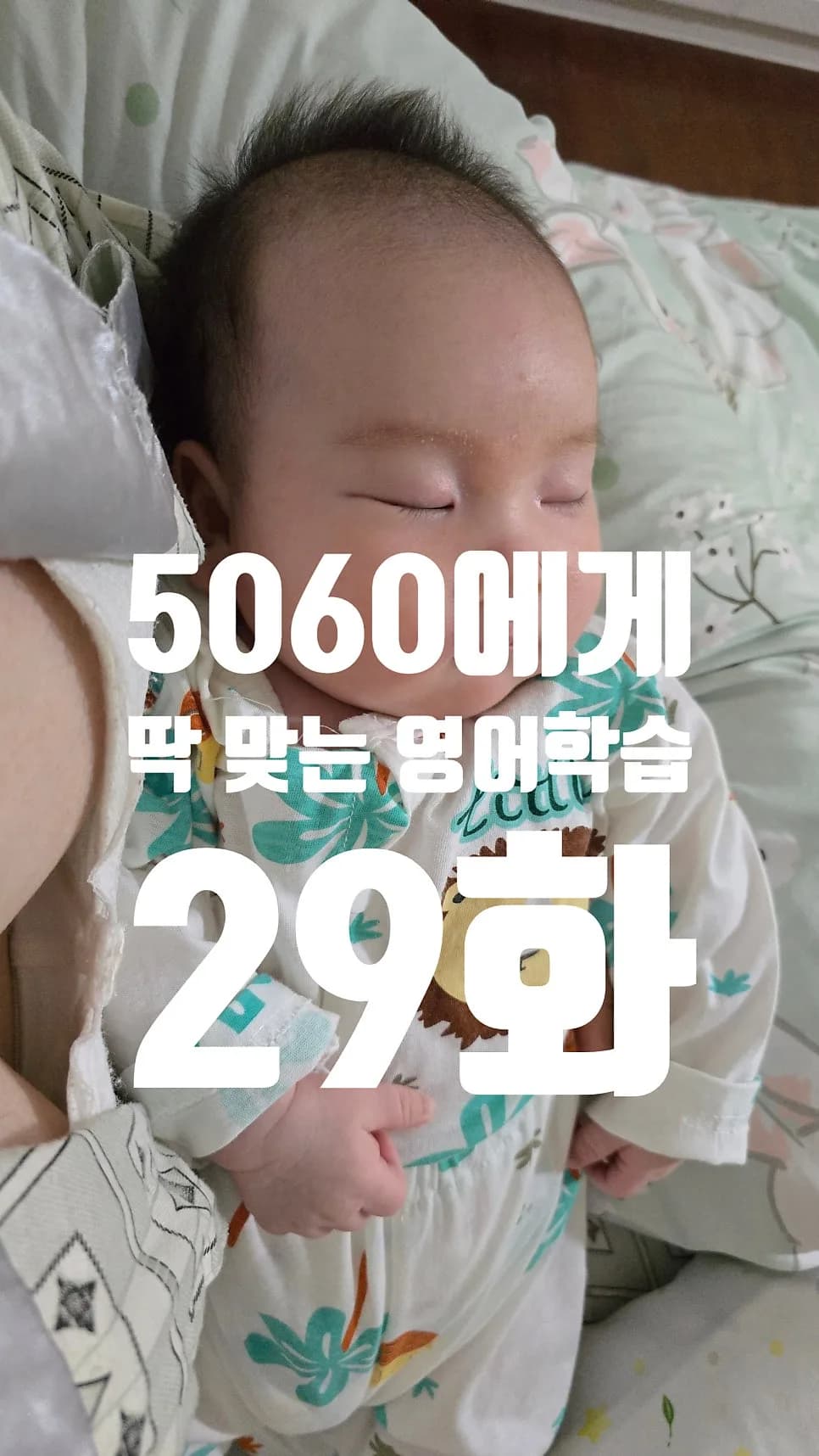 5060 은퇴 후 영어 공부, 2026년에도 늦지 않았나요?